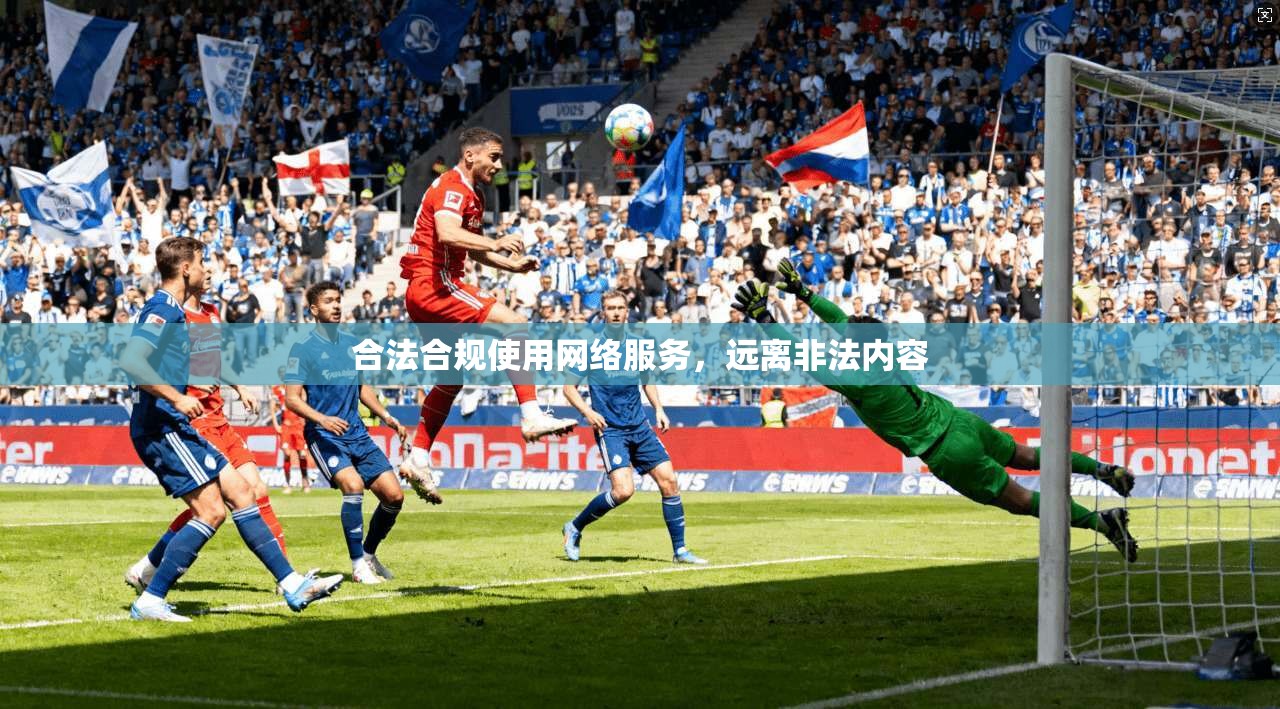 合法合规使用网络服务，远离非法内容