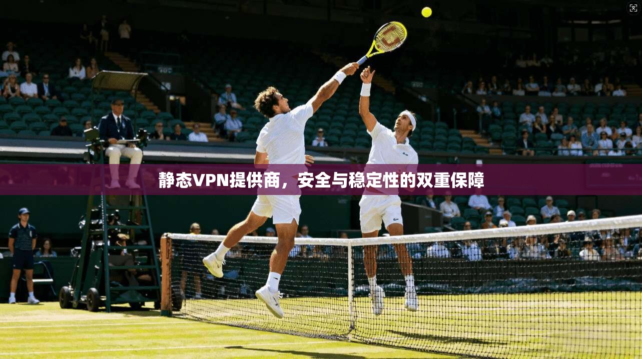 静态VPN提供商，安全与稳定性的双重保障