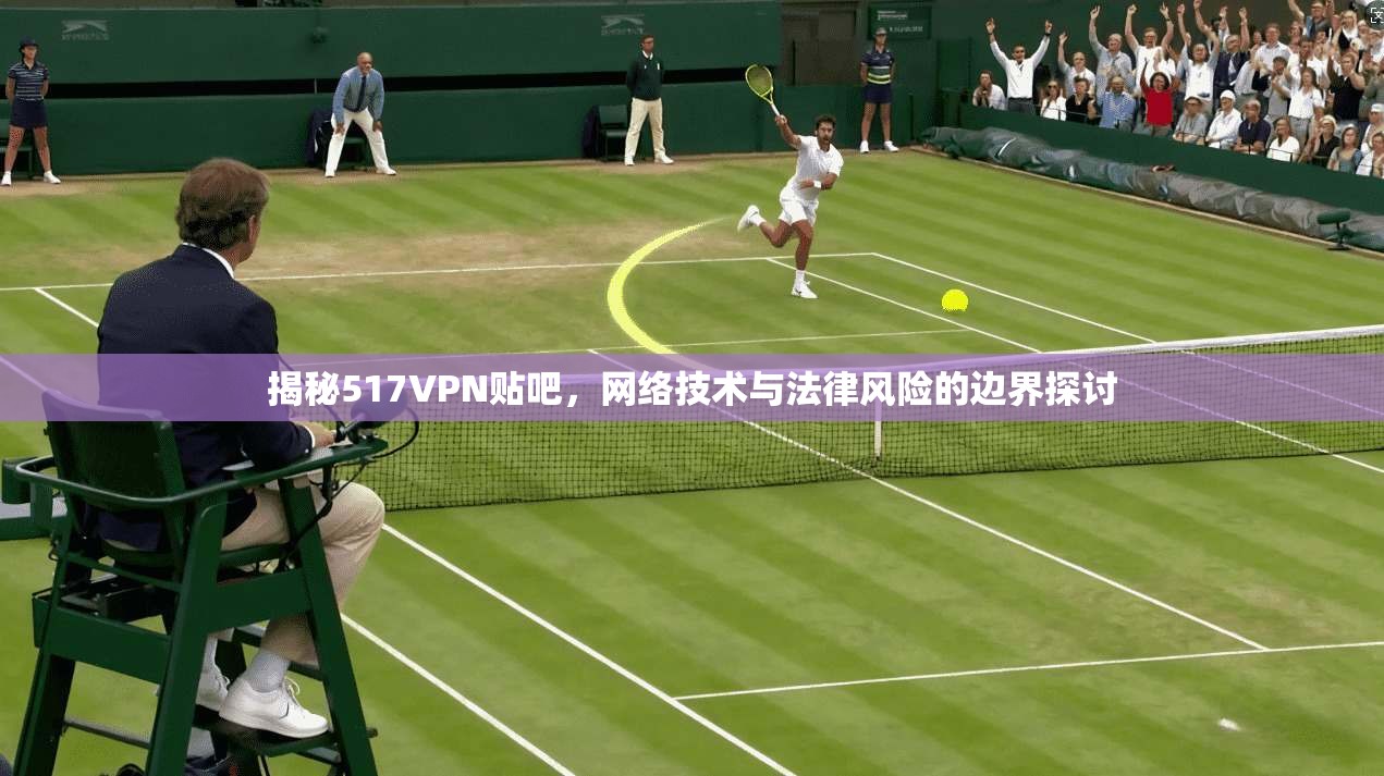 揭秘517VPN贴吧，网络技术与法律风险的边界探讨