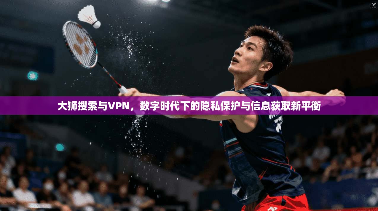 大狮搜索与VPN，数字时代下的隐私保护与信息获取新平衡