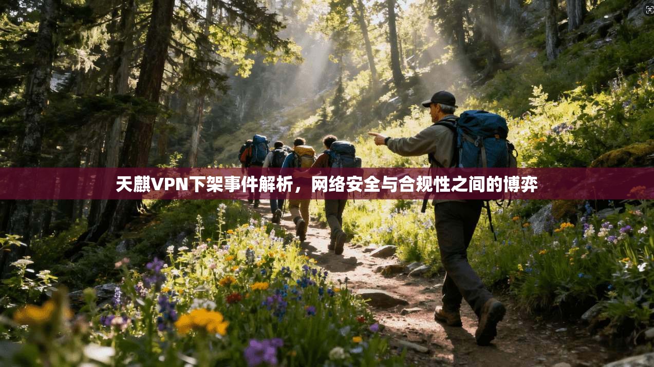 天麒VPN下架事件解析，网络安全与合规性之间的博弈