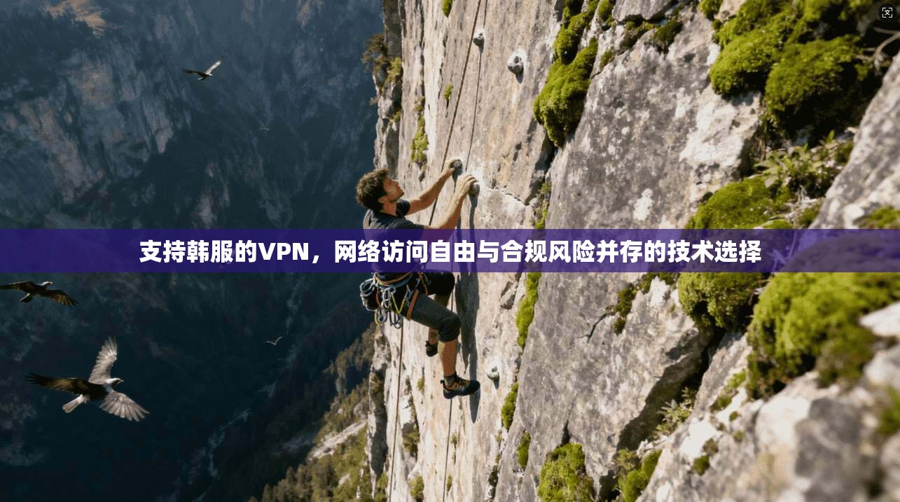 支持韩服的VPN，网络访问自由与合规风险并存的技术选择