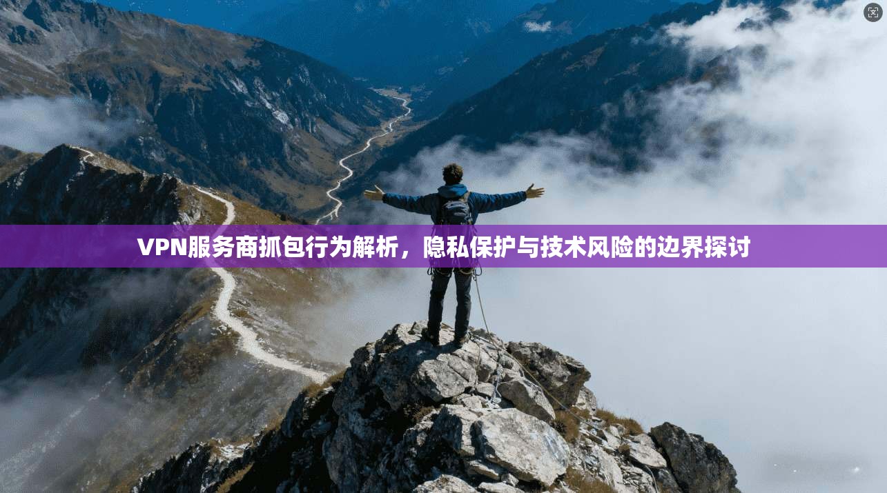 VPN服务商抓包行为解析，隐私保护与技术风险的边界探讨