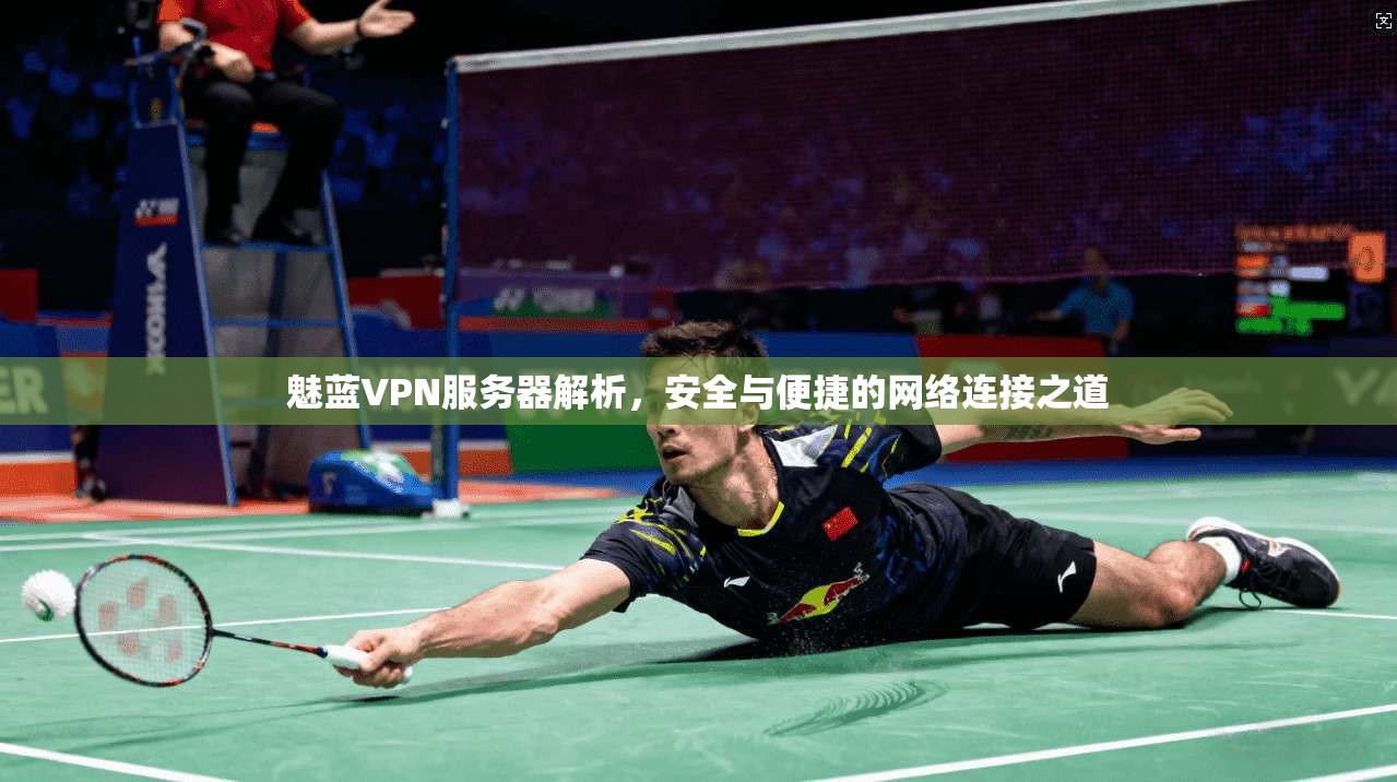 魅蓝VPN服务器解析,安全与便捷的网络连接之道 魅蓝VPN服务器解析,安全与便捷的网络连接之道