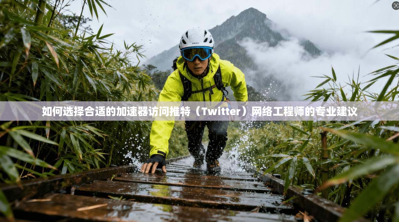 如何选择合适的加速器访问推特（Twitter）网络工程师的专业建议