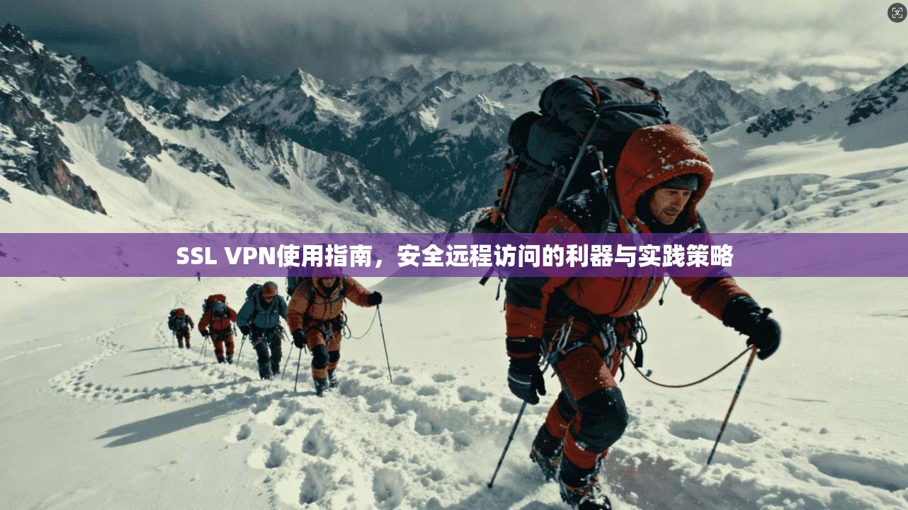 SSL VPN使用指南,安全远程访问的利器与实践策略 SSL VPN使用指南,安全远程访问的利器与实践策略