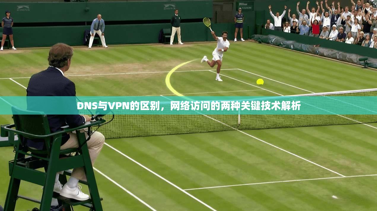 DNS与VPN的区别，网络访问的两种关键技术解析