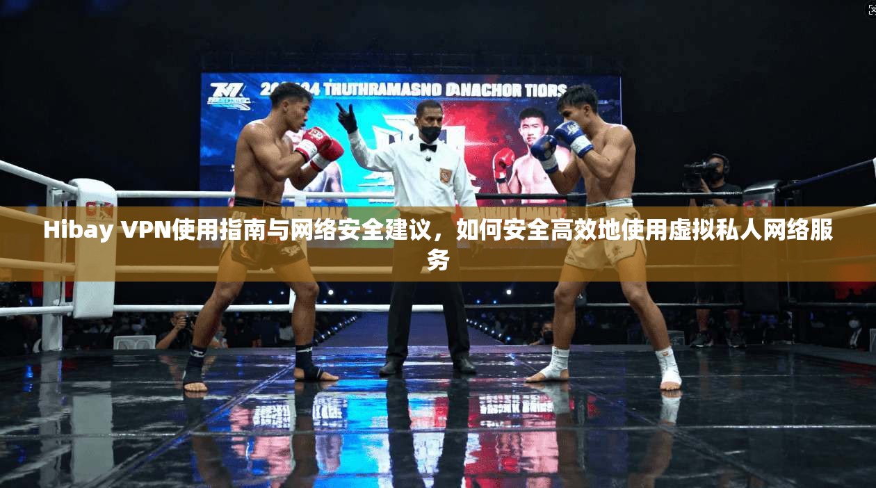 Hibay VPN使用指南与网络安全建议，如何安全高效地使用虚拟私人网络服务