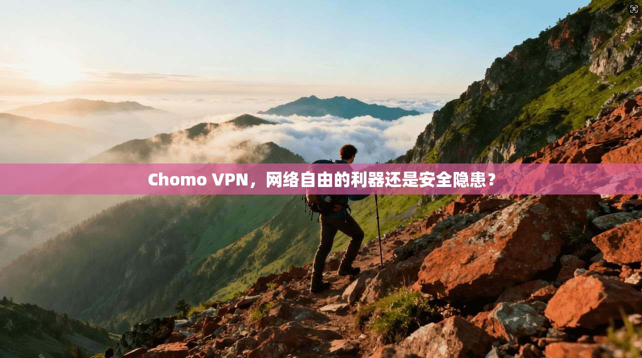 Chomo VPN，网络自由的利器还是安全隐患？