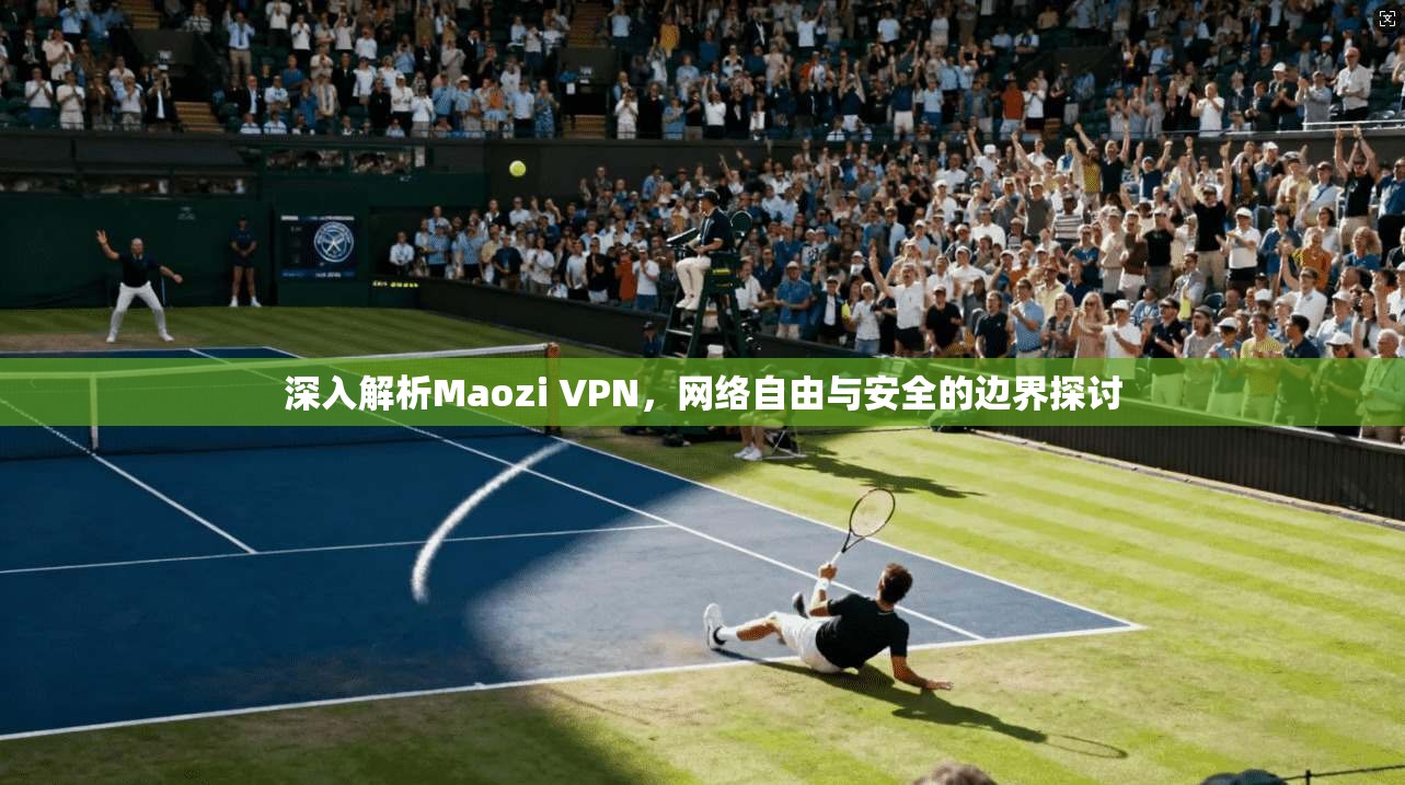 深入解析Maozi VPN，网络自由与安全的边界探讨