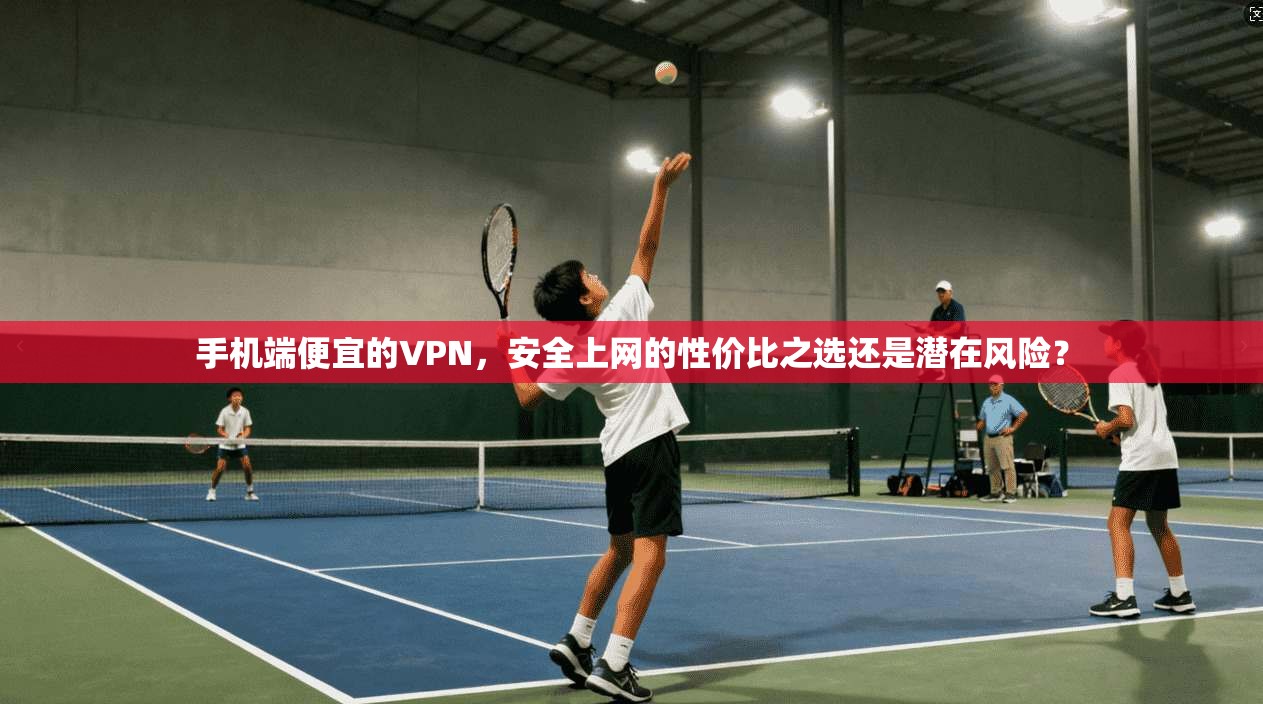 手机端便宜的VPN，安全上网的性价比之选还是潜在风险？