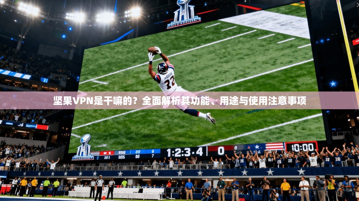 坚果VPN是干嘛的？全面解析其功能、用途与使用注意事项