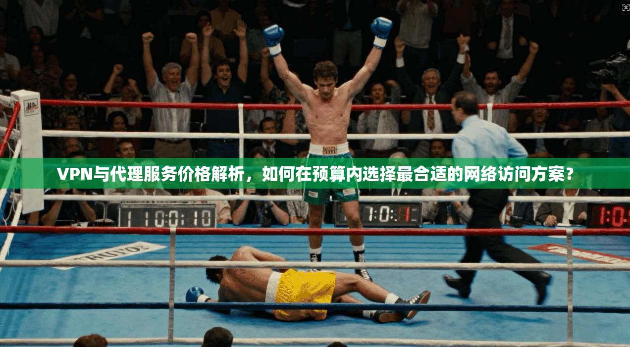 VPN与代理服务价格解析，如何在预算内选择最合适的网络访问方案？