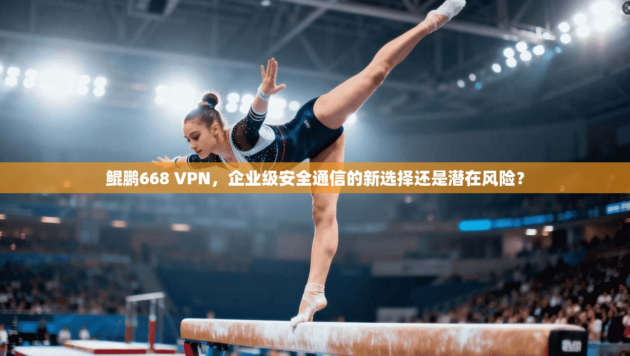 鲲鹏668 VPN，企业级安全通信的新选择还是潜在风险？