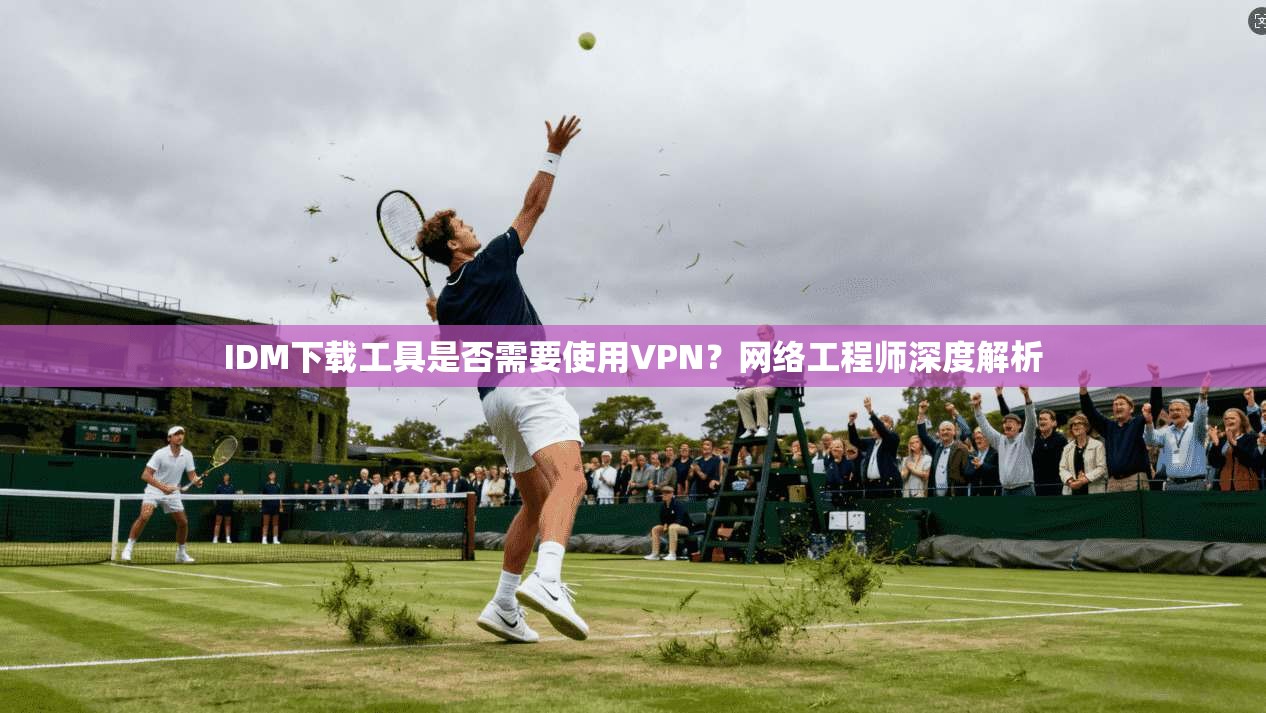 IDM下载工具是否需要使用VPN？网络工程师深度解析