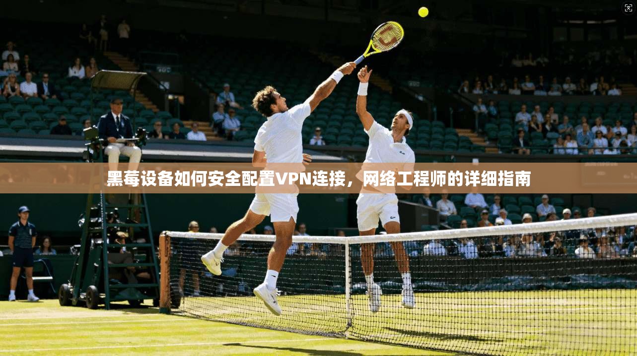 黑莓设备如何安全配置VPN连接，网络工程师的详细指南