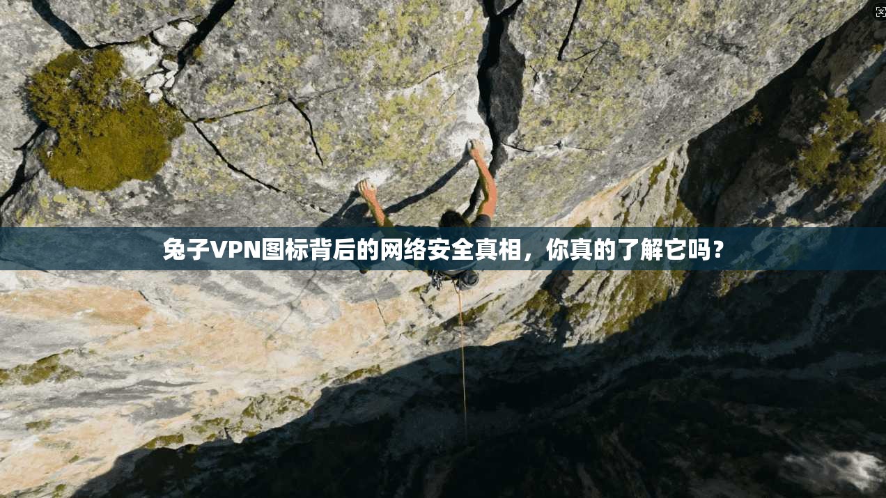 兔子VPN图标背后的网络安全真相，你真的了解它吗？