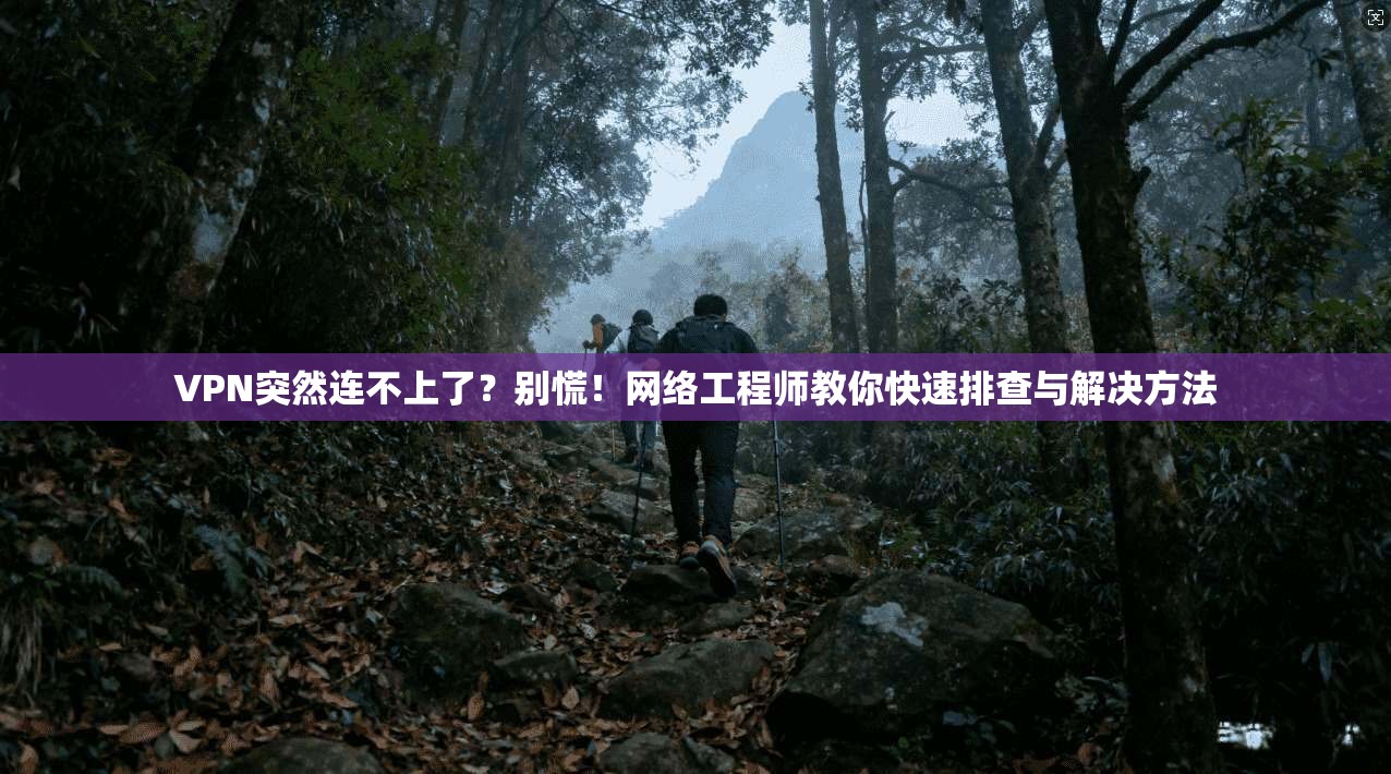 VPN突然连不上了？别慌！网络工程师教你快速排查与解决方法