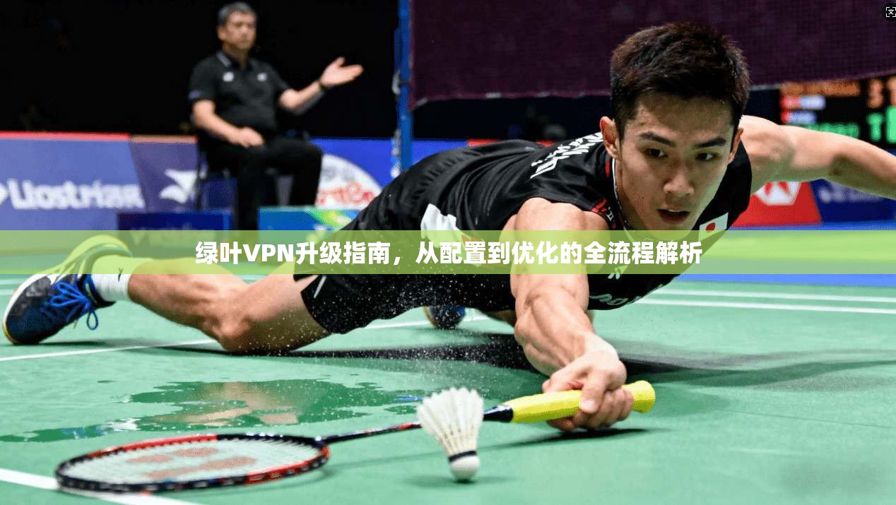 绿叶VPN升级指南，从配置到优化的全流程解析