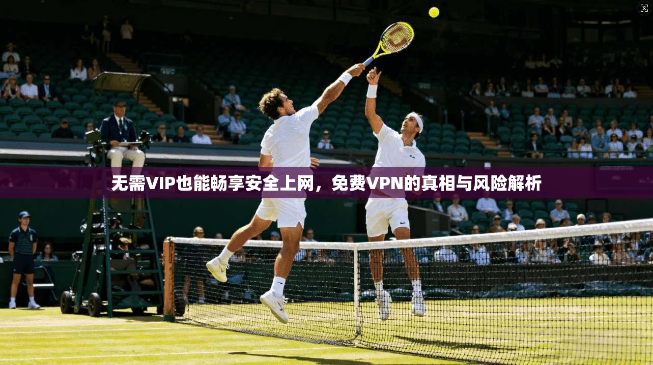 无需VIP也能畅享安全上网，免费VPN的真相与风险解析