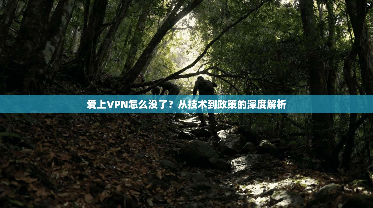 爱上VPN怎么没了？从技术到政策的深度解析