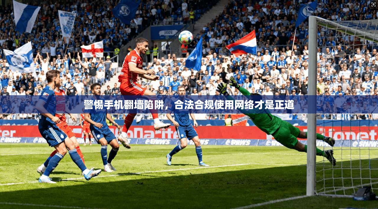 警惕手机翻墙陷阱，合法合规使用网络才是正道