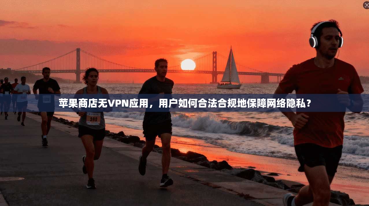 苹果商店无VPN应用，用户如何合法合规地保障网络隐私？