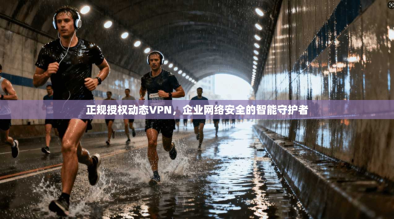 正规授权动态VPN，企业网络安全的智能守护者