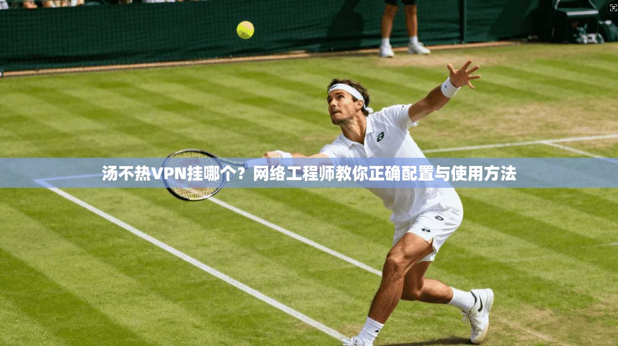 汤不热VPN挂哪个？网络工程师教你正确配置与使用方法