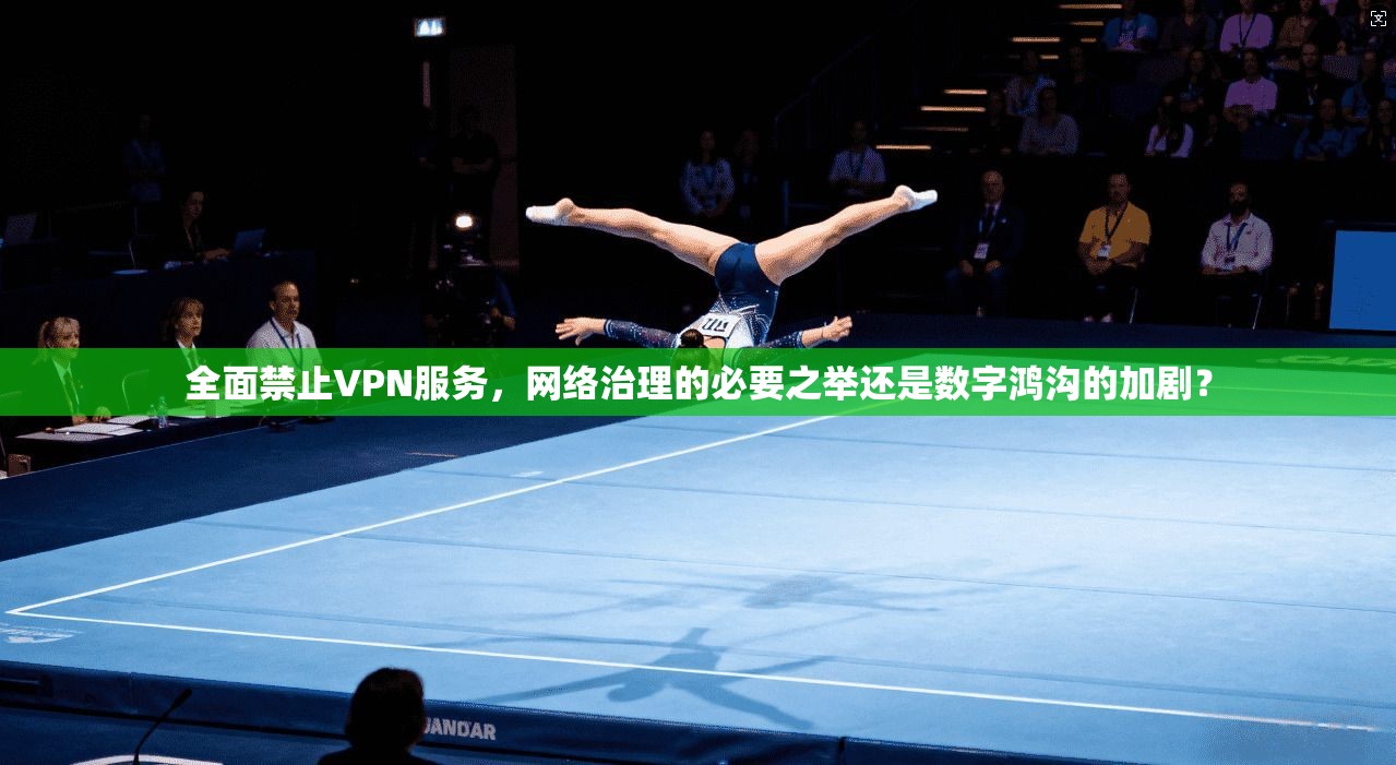 全面禁止VPN服务，网络治理的必要之举还是数字鸿沟的加剧？