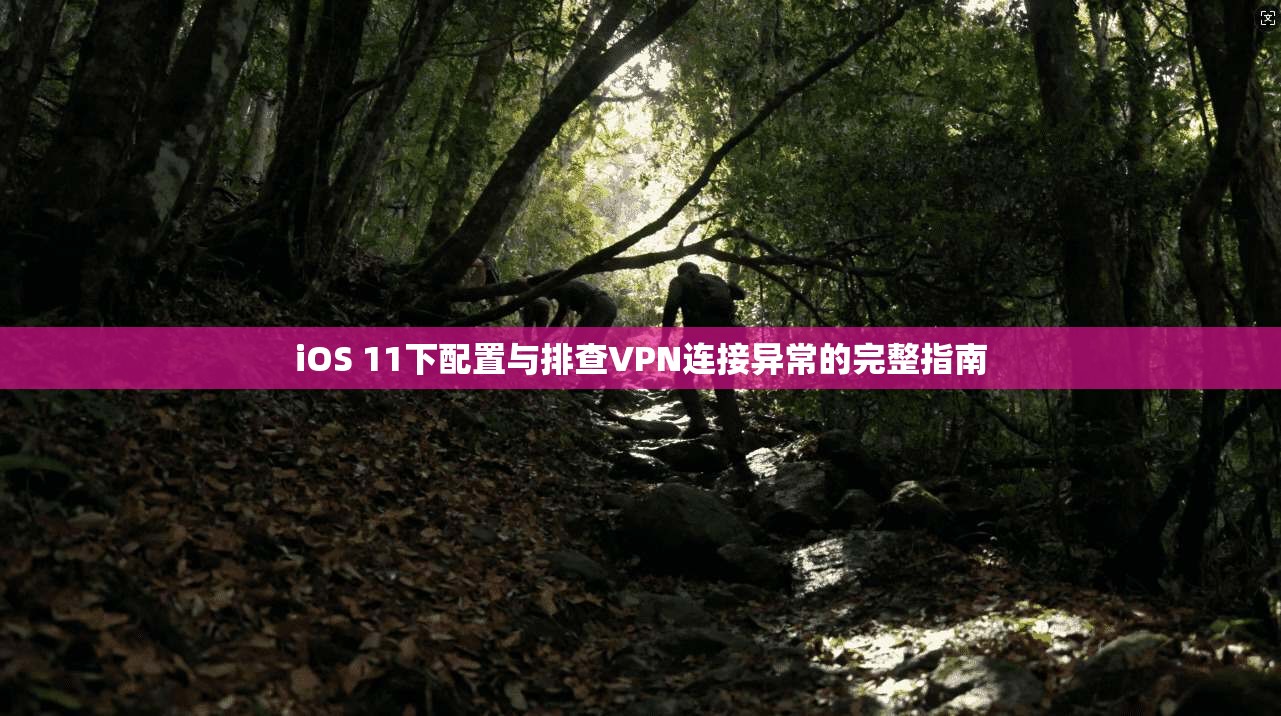 iOS 11下配置与排查VPN连接异常的完整指南