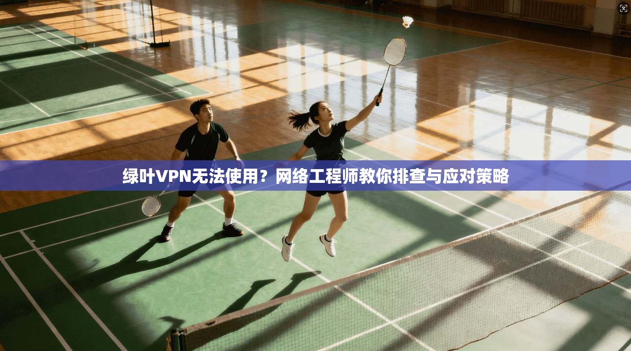 绿叶VPN无法使用?网络工程师教你排查与应对策略 绿叶VPN无法使用?网络工程师教你排查与应对策略