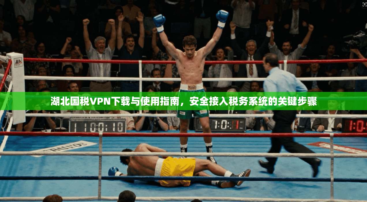 湖北国税VPN下载与使用指南,安全接入税务系统的关键步骤 湖北国税VPN下载与使用指南,安全接入税务系统的关键步骤