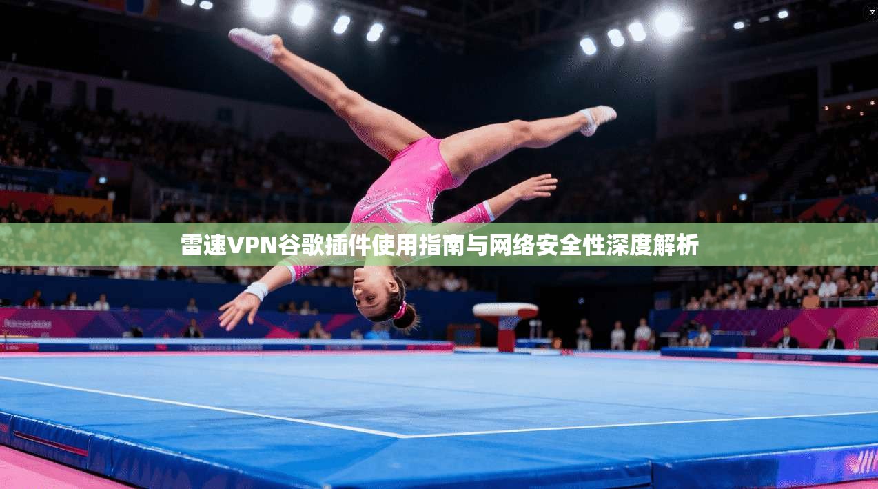 雷速VPN谷歌插件使用指南与网络安全性深度解析 雷速VPN谷歌插件使用指南与网络安全性深度解析