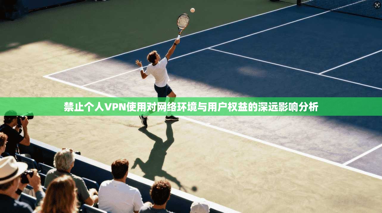 禁止个人VPN使用对网络环境与用户权益的深远影响分析
