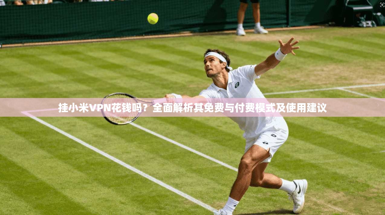 挂小米VPN花钱吗？全面解析其免费与付费模式及使用建议