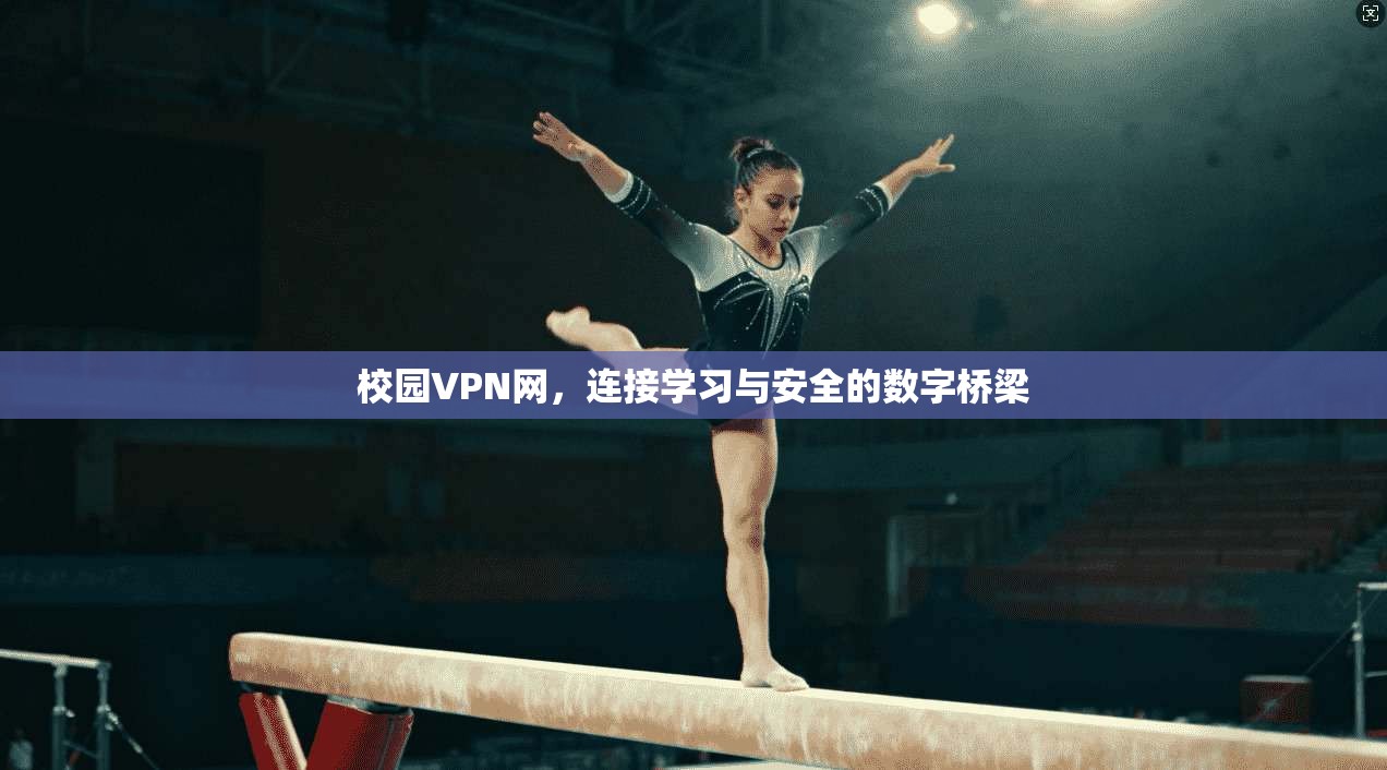 校园VPN网，连接学习与安全的数字桥梁