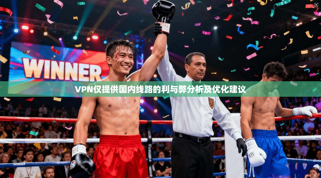 VPN仅提供国内线路的利与弊分析及优化建议