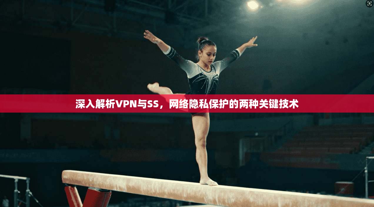 深入解析VPN与SS，网络隐私保护的两种关键技术