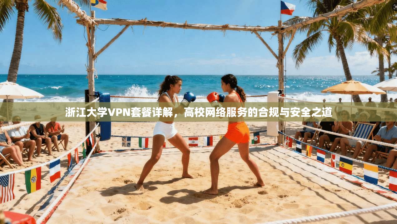 浙江大学VPN套餐详解，高校网络服务的合规与安全之道