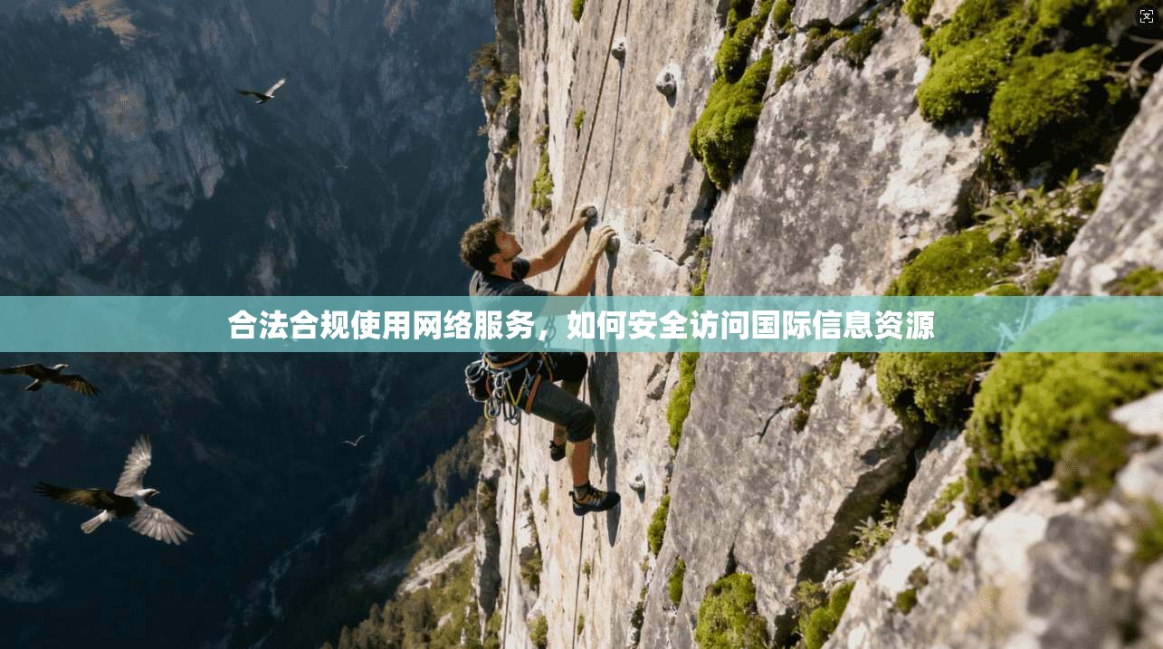 合法合规使用网络服务，如何安全访问国际信息资源