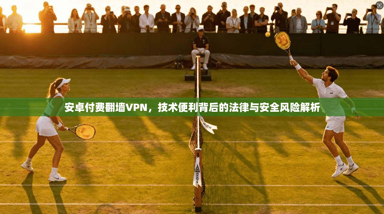 安卓付费翻墙VPN，技术便利背后的法律与安全风险解析