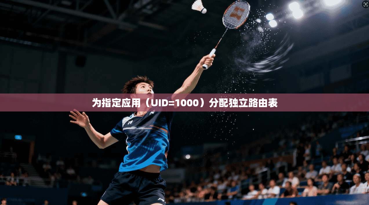 为指定应用（UID=1000）分配独立路由表