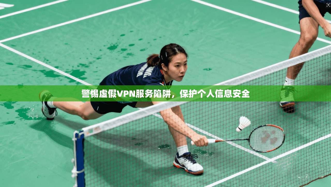 警惕虚假VPN服务陷阱，保护个人信息安全