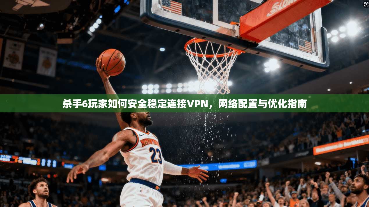 杀手6玩家如何安全稳定连接VPN，网络配置与优化指南