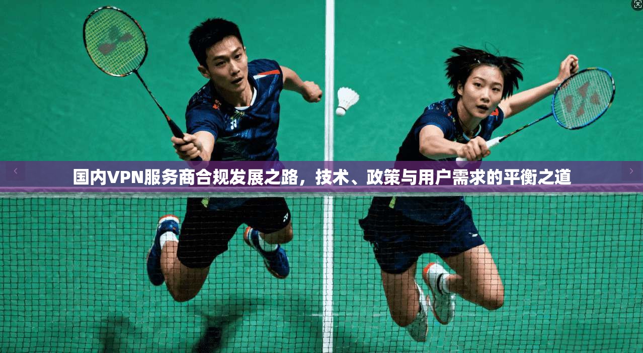 国内VPN服务商合规发展之路，技术、政策与用户需求的平衡之道