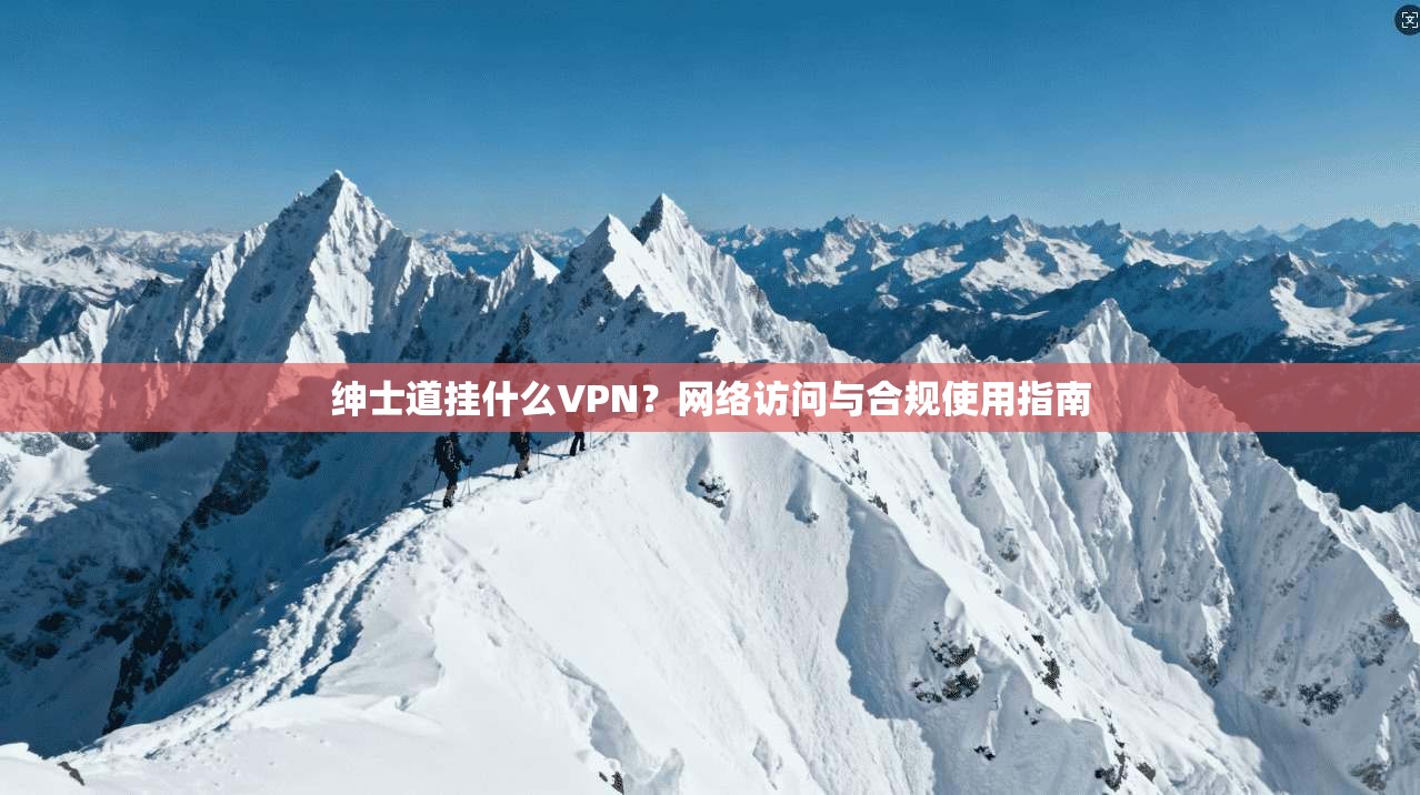 绅士道挂什么VPN？网络访问与合规使用指南