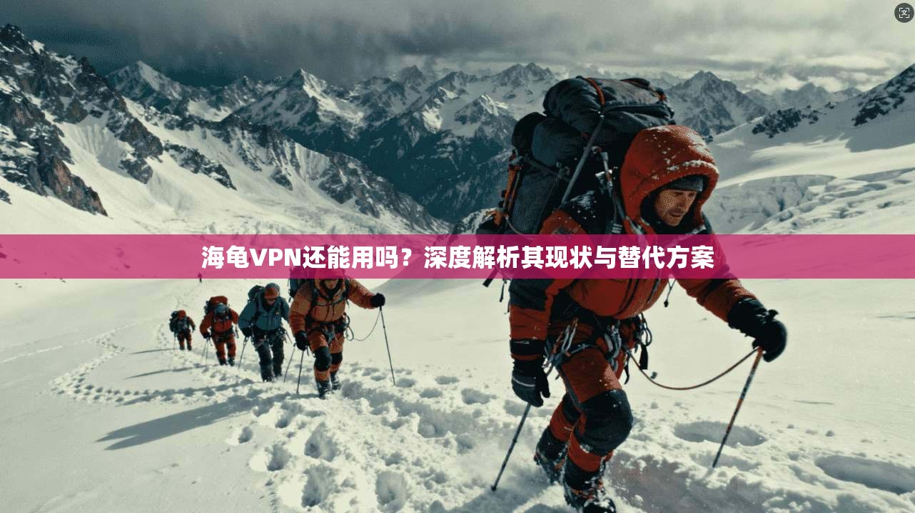 海龟VPN还能用吗？深度解析其现状与替代方案