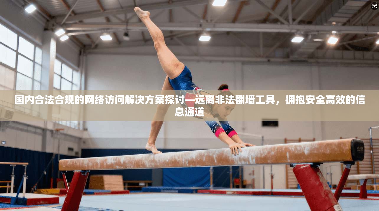 国内合法合规的网络访问解决方案探讨—远离非法翻墙工具，拥抱安全高效的信息通道