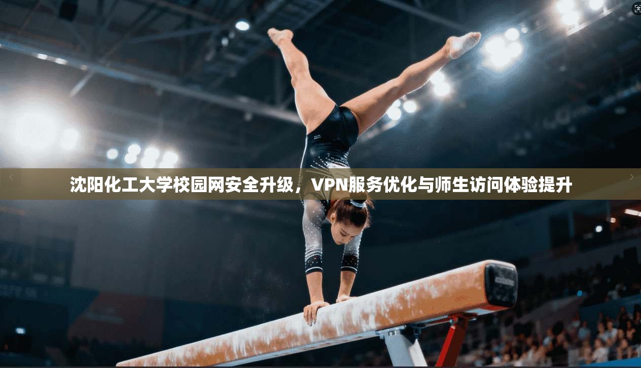 沈阳化工大学校园网安全升级，VPN服务优化与师生访问体验提升